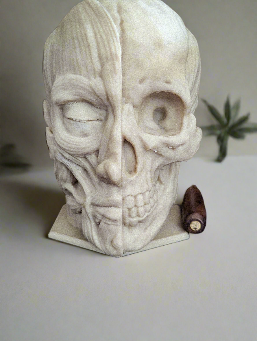 Anatomically correct human head headphone stand