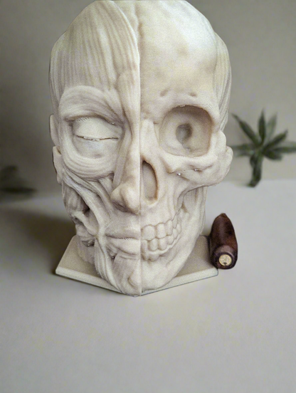 Anatomically correct human head headphone stand