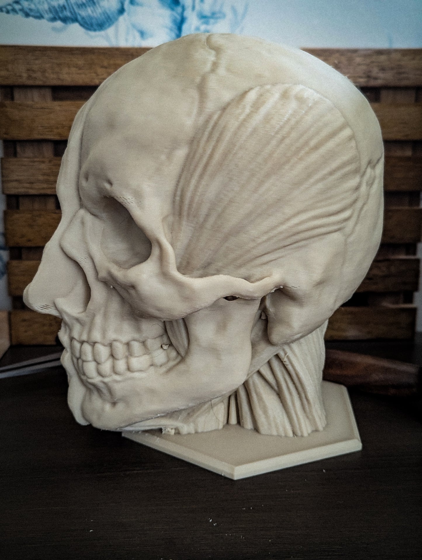 Anatomically correct human head headphone stand