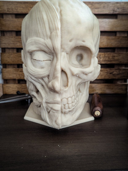 Anatomically correct human head headphone stand